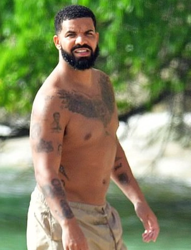 drake in 2010