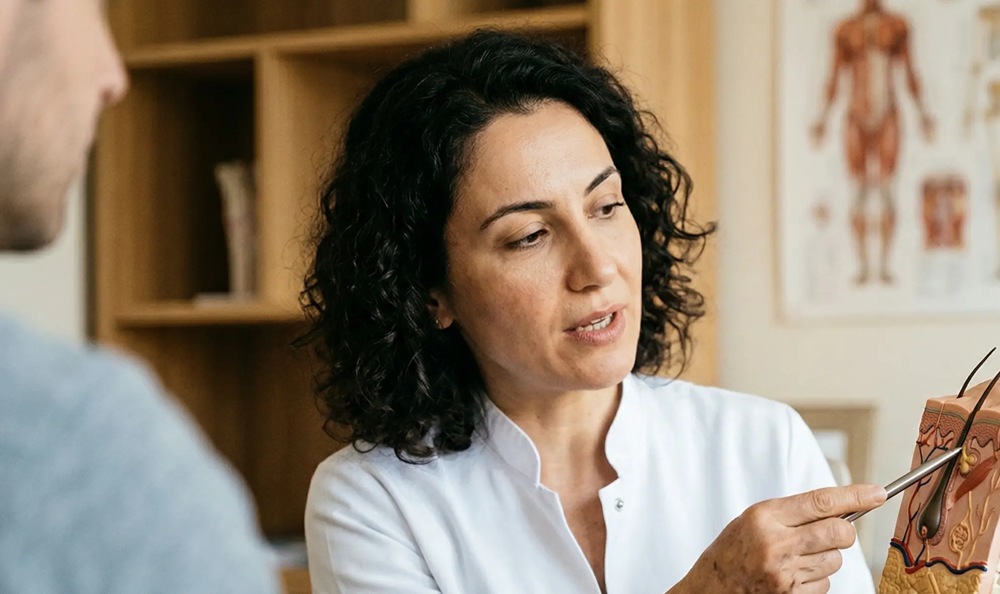 doctor pointing to anatomical model hair transplant