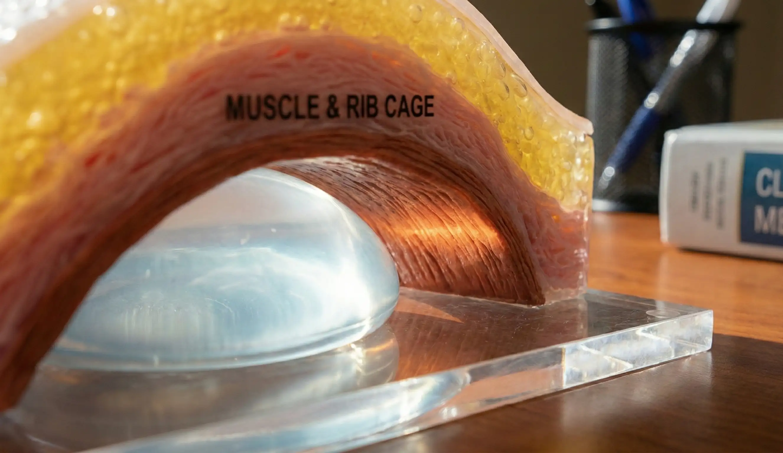 implant çekirdeği vücut sıcaklığı entegrasyon anatomisi