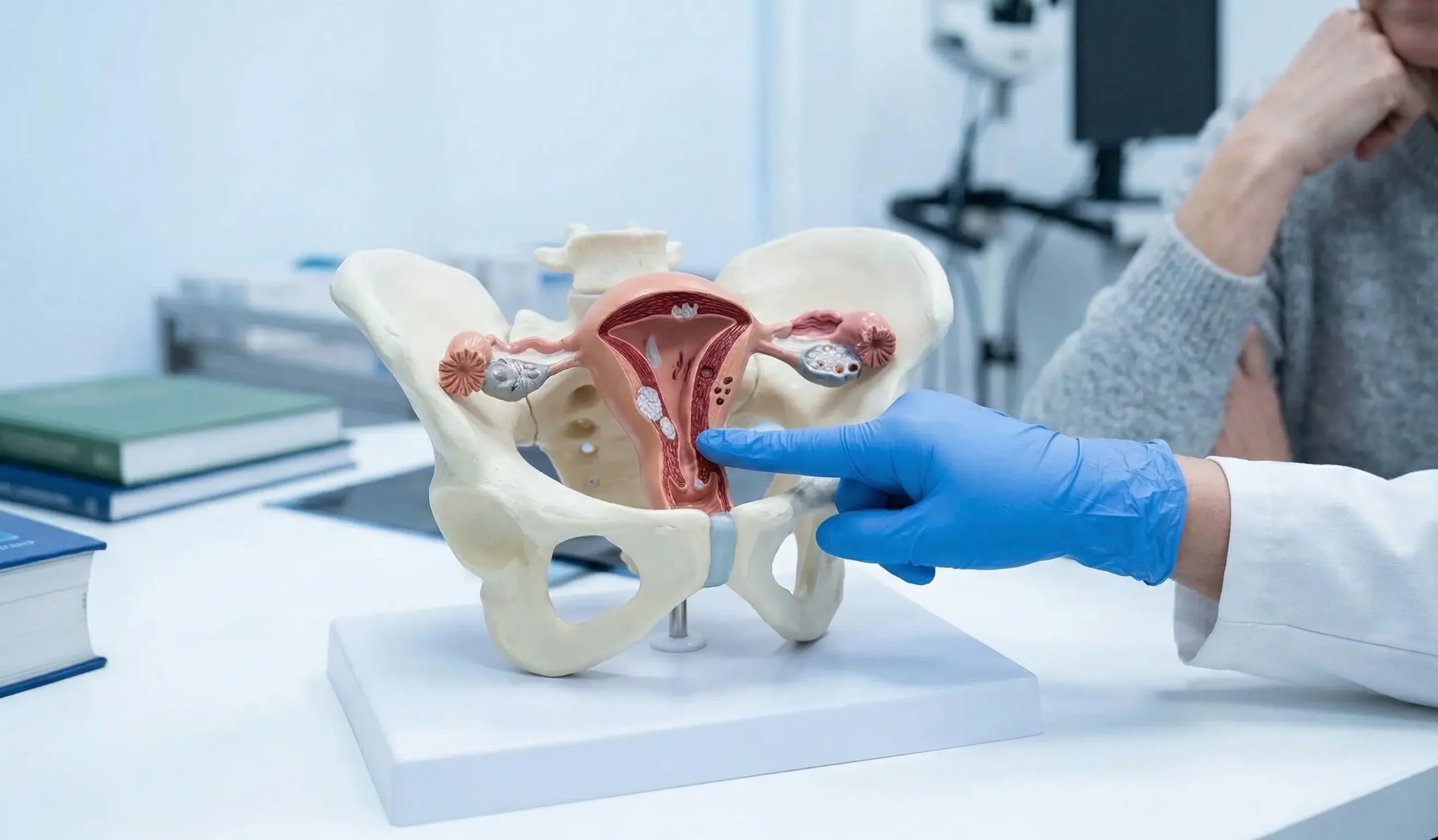 anatomical model hysterectomy demonstration