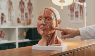 anatomical 3d model moon face