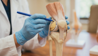 anatomical model marking knee liposuction fat
