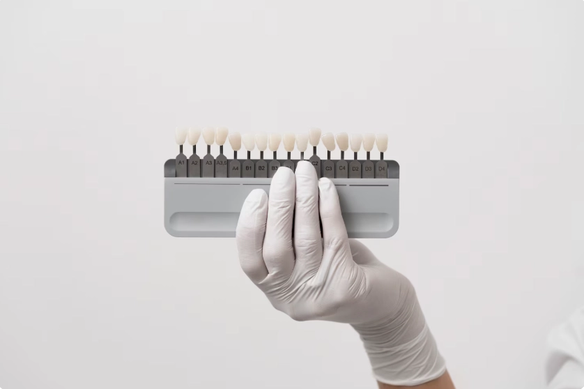 tooth contouring colors